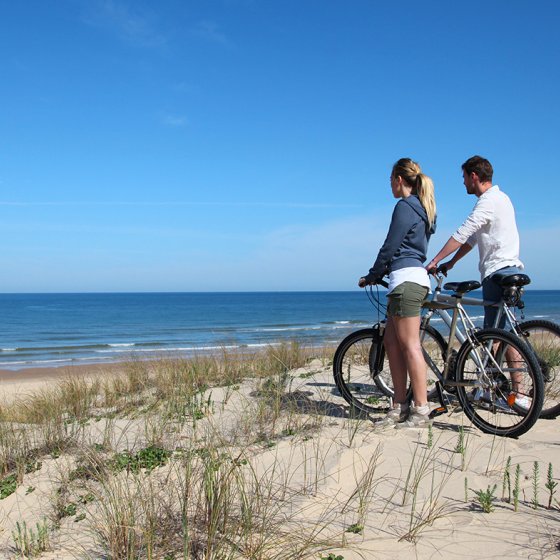Couple with bikes looking at the ocean