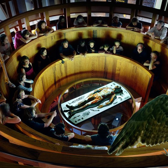 Anatomisch Theater Rijksmuseum Boerhaave Leiden
