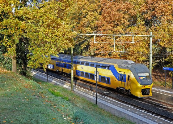 Train in autumn Train in autumn