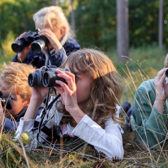 Kids looking through binoculars National parc De Hoge Veluwe