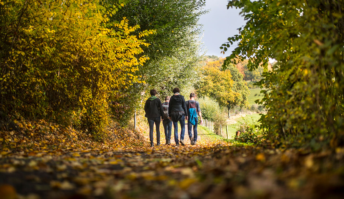 The best nature scenery in Netherlands - Holland.com