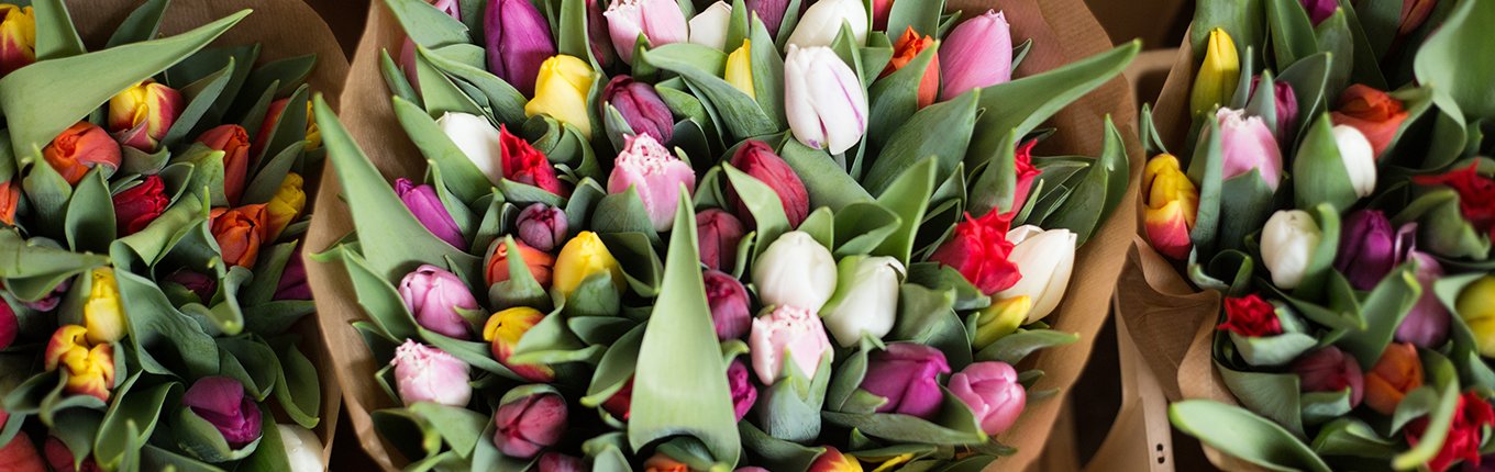 Visit The Floating Flower Market In Amsterdam Holland Com