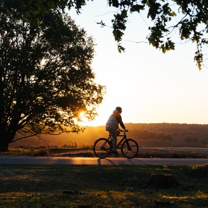 Cyclist during sunset