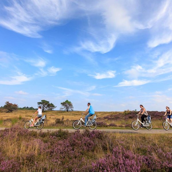 Nationale Park De Hoge Veluwe