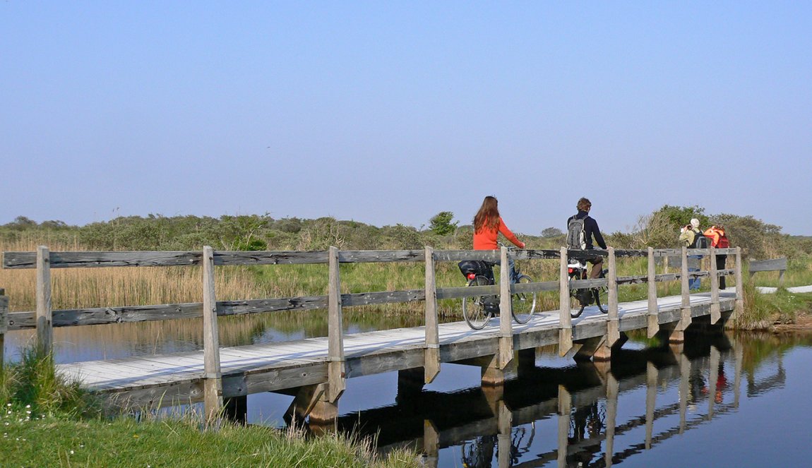 Riding a bycicle on a bridge in the National parc of Schiermonnikoog Riding a bycicle on a bridge in the National parc of Schiermonnikoog