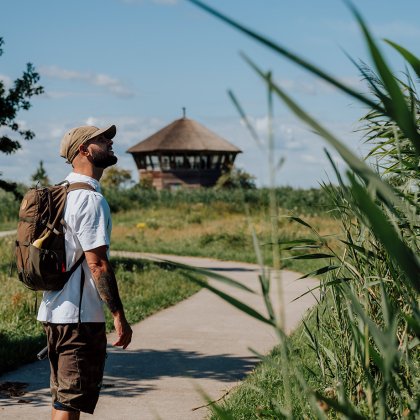 Hiker at the Zeearend lookout tower, Oostvaardersplassen in Flevoland