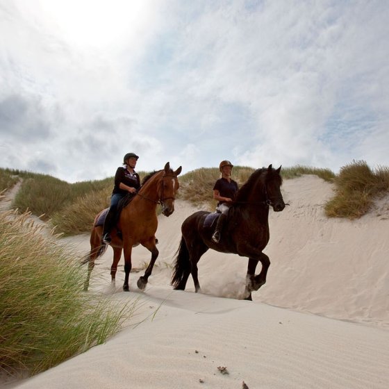 Horse back riding on dunes at Vlieland