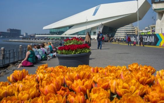 Tulp Festival Amsterdam