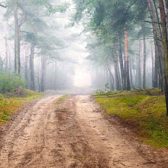 Deventer Salland scenery