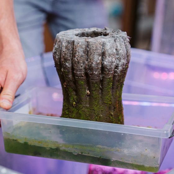 Urban Reef testing in process