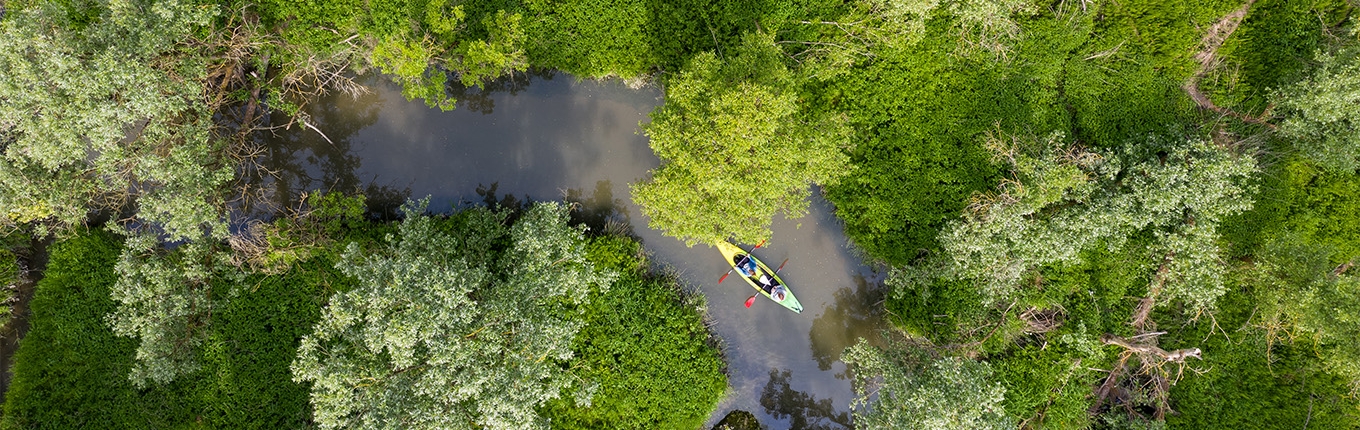 Drone shot with trees and canoo at the Biesbosch national park