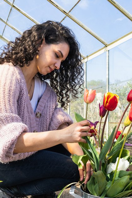 Lady in greenhouse puts tulips in bucket at pick-your-own garden Bakkum