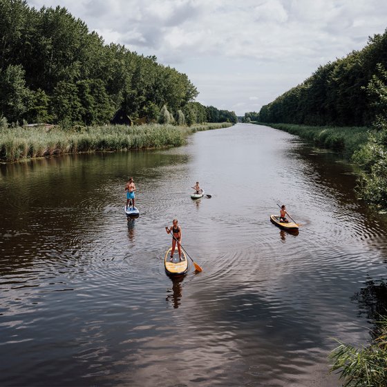 Paddleboarding in Flevoland 4 people surrounded by nature