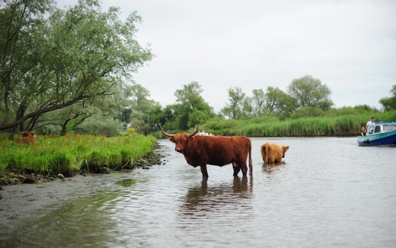 Nationale Parken Nederland uitjes & wandelen - Reisliefde