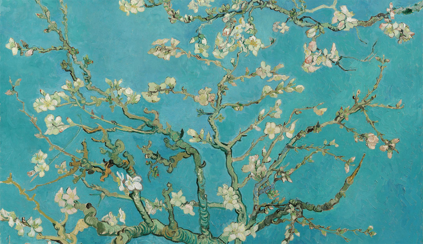 © Van Gogh Museum © Van Gogh Museum