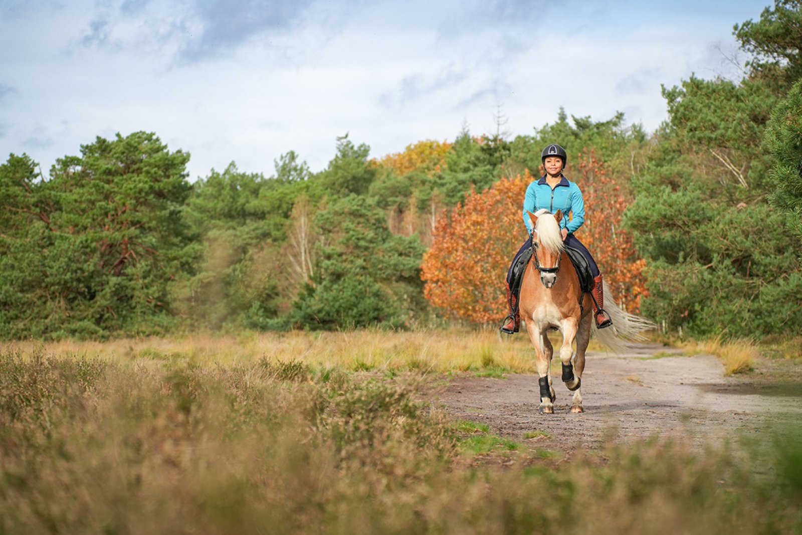 Horse riding in the Groote Peel 