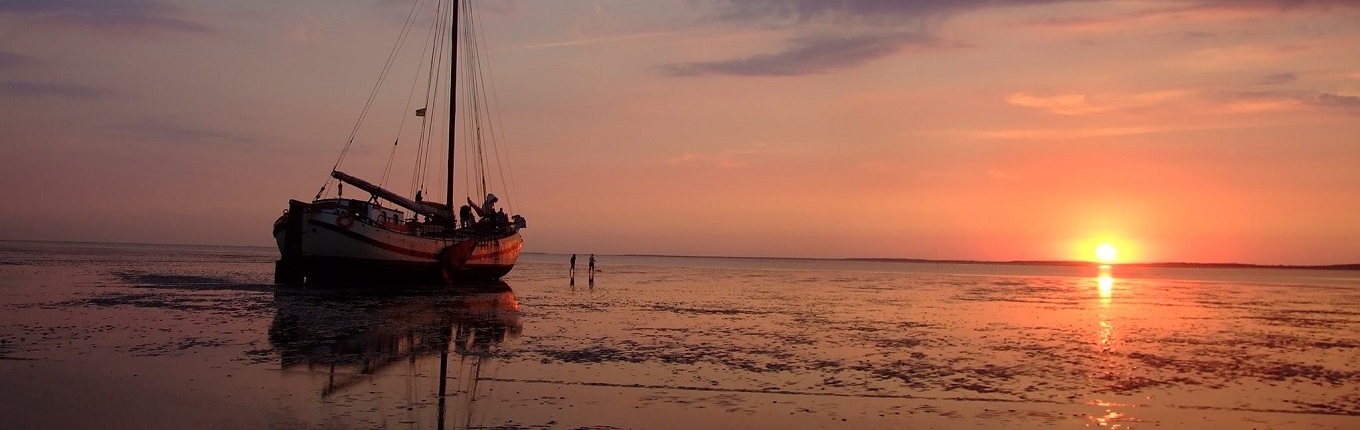 Wadden sea evening sailing trip sunset Wadden sea evening sailing trip sunset