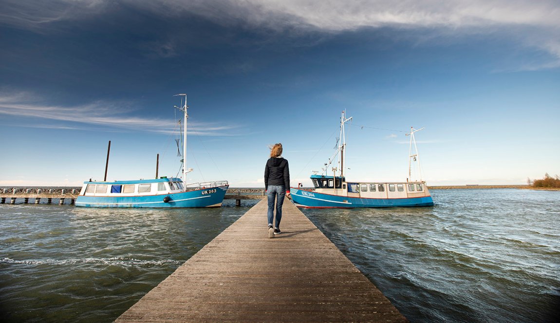 Oostvaardersdijk, Markermeer Oostvaardersdijk, Markermeer