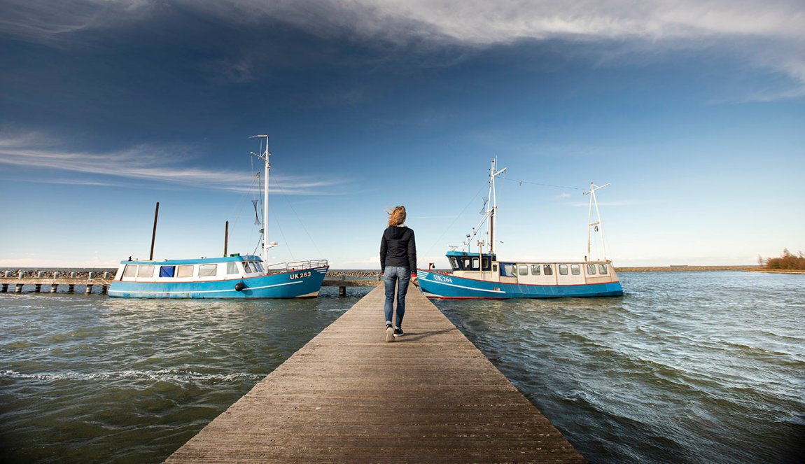 Oostvaardersdijk, Markermeer