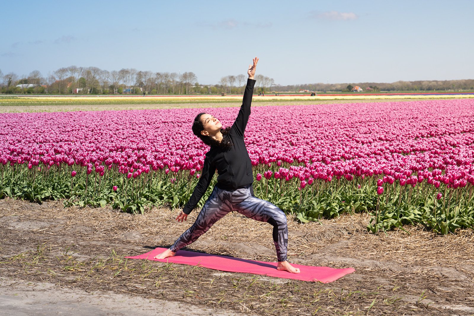 Yoga along the tulip field