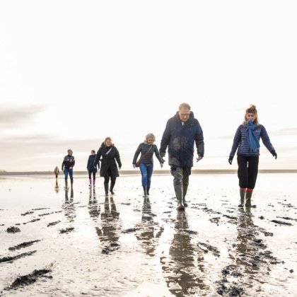 Mudflat walking is a unique experience where you traverse the mudflats, over mud flats, sandbanks and through shallow channels.