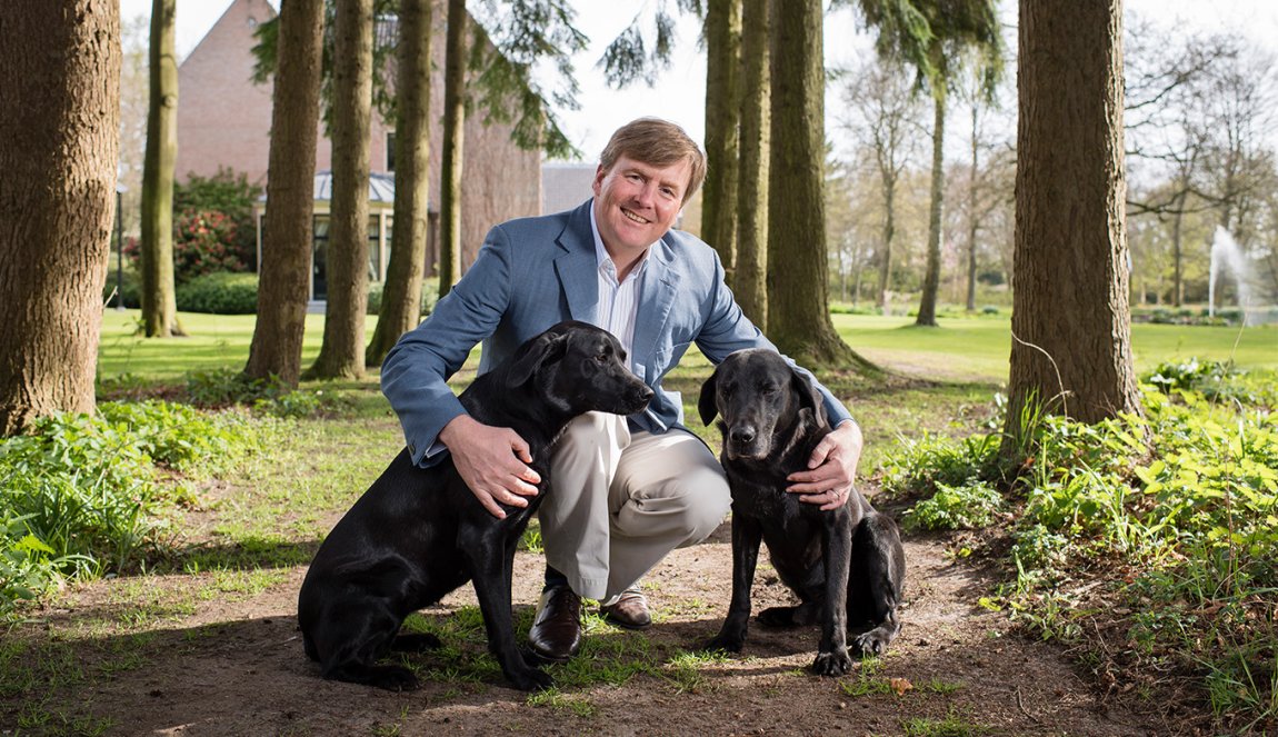 King Willem with his two dogs