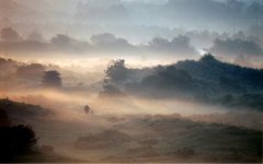 Zandvoort