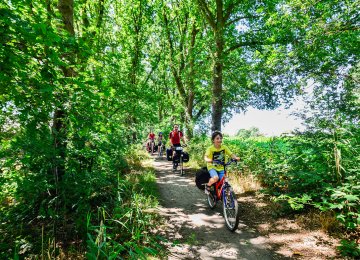 Family on bicycle vacation