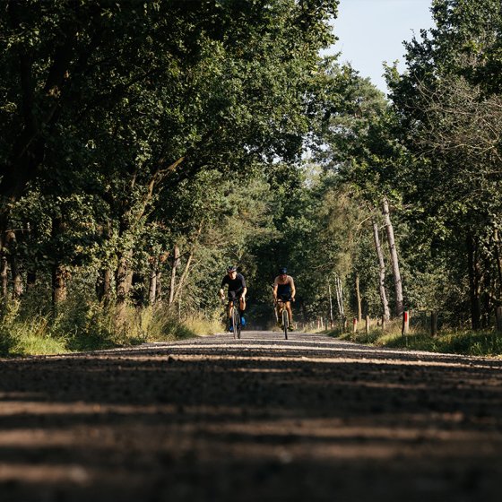 Cyclists through the forest Eindhoven