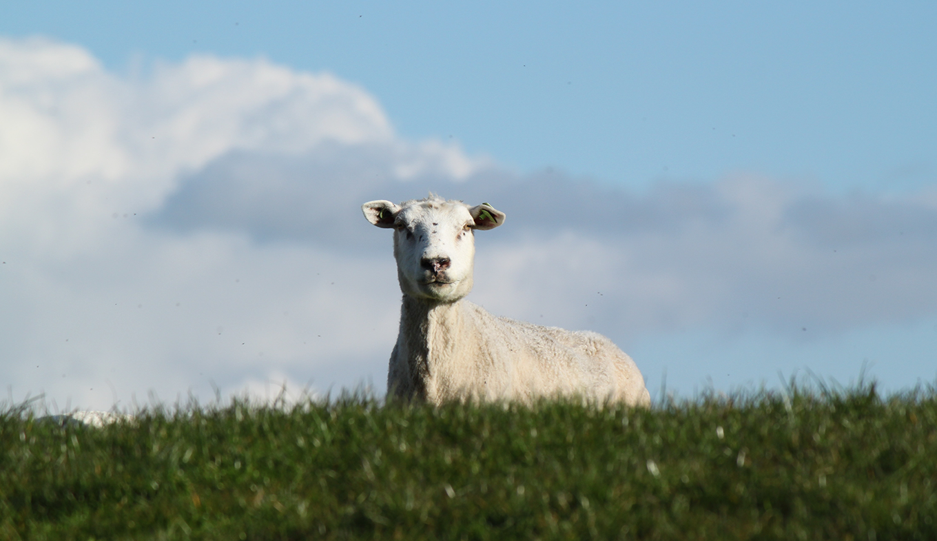 What is the weather like in the Netherlands - Holland.com holland weather in april 2024