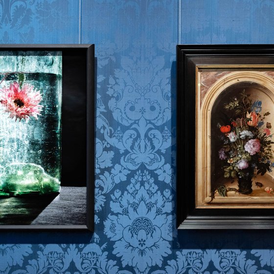 Mauritshuis Pentimenti