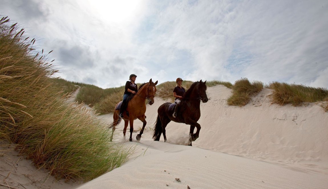 Horse back riding on dunes at Vlieland