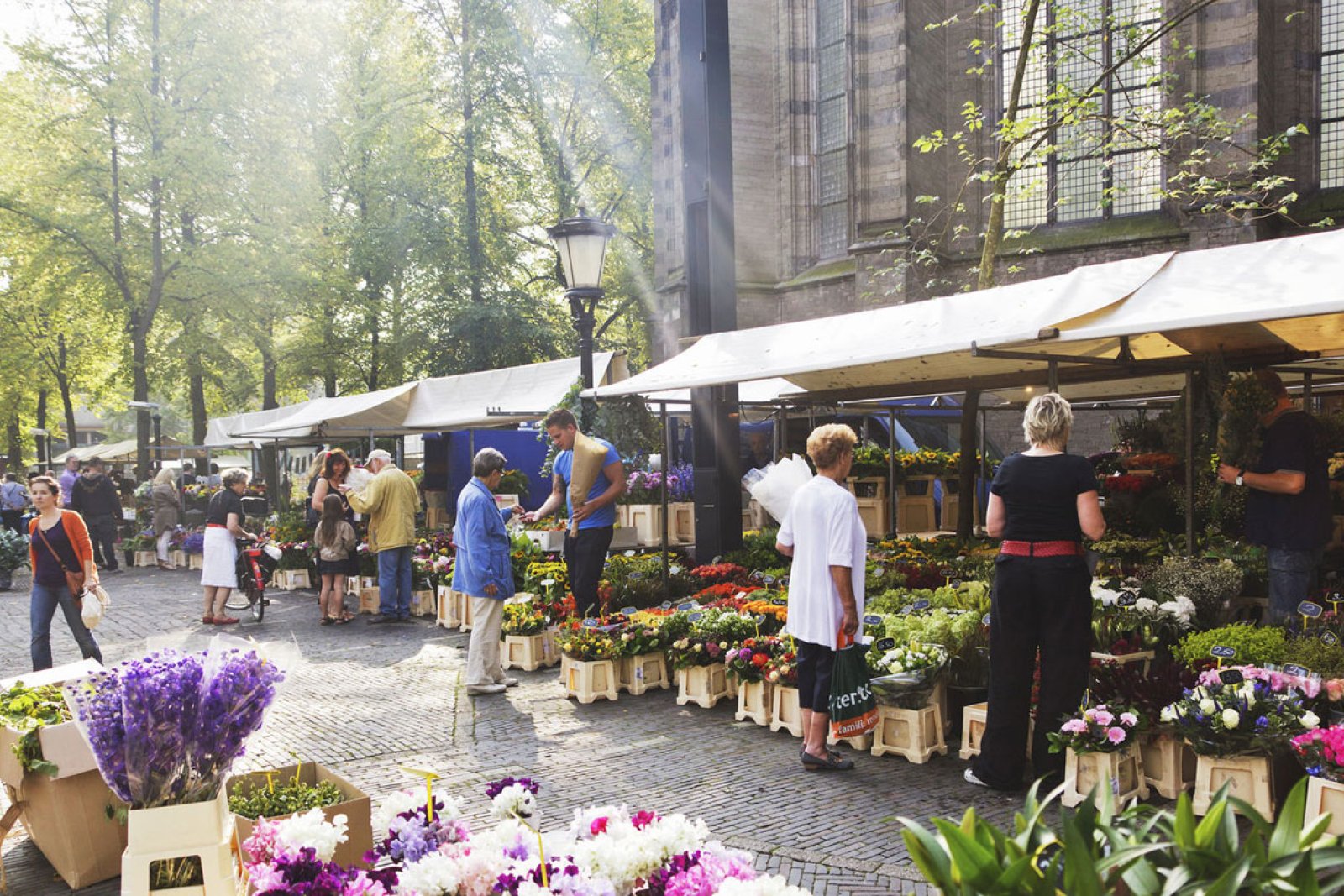 Janskerkhof Bloemenmarkt Utrecht