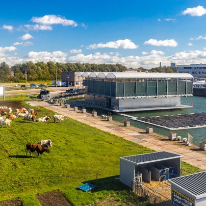 Floating Farm Rotterdam overview with cows and solar panels