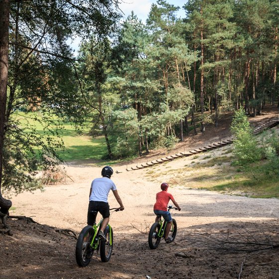 Cycling through the drifting sand near Hoenderloo in the Veluwe, Gelderland