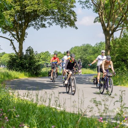 Cyclists riding on a tree-lined road in the Dutch countryside