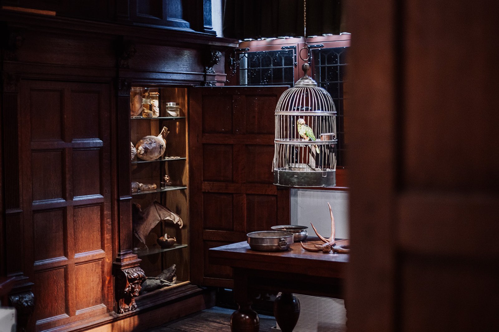 Westfries Museum Hoorn science
