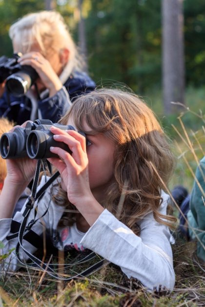 Kids looking through binoculars National parc De Hoge Veluwe