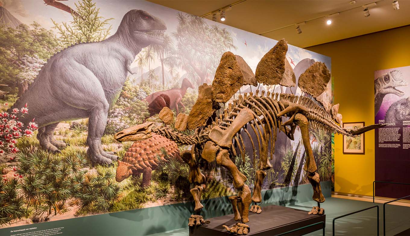Dinomakers, Teylers Museum Haarlem Dinomakers, Teylers Museum Haarlem