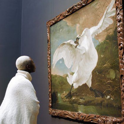 Woman views painting The endangered swan at Rijksmuseum. Painted by Dutch artist Jan Asselijn ca. 1650