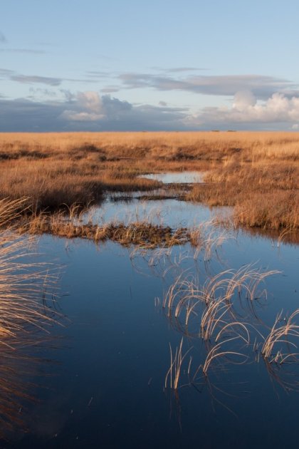 Deelense Veld National Parc De Hoge Veluwe