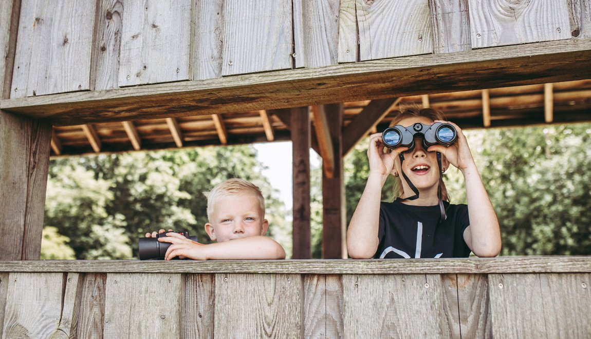 Children with binoculars in Kropswolderbuitenpolder Bird watching hut