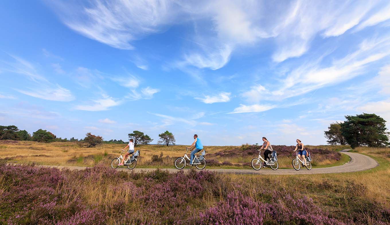 Gratis fietsen in De Hoge Veluwe - Holland.com