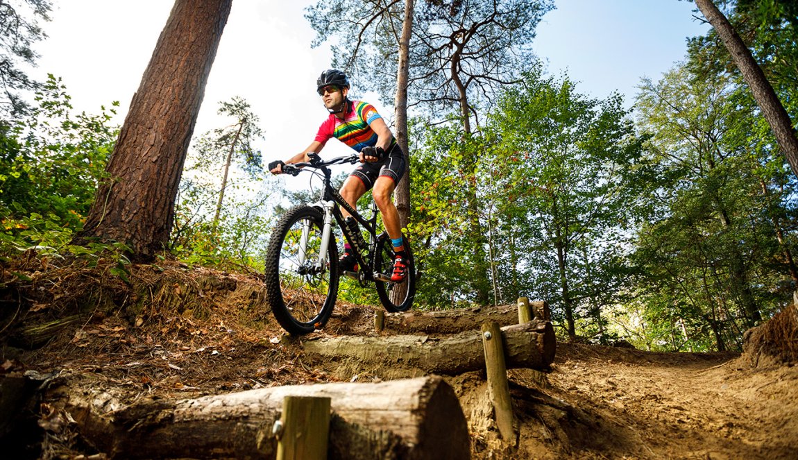 Mountain biking over the Sallandse Heuvelrug Overijssel