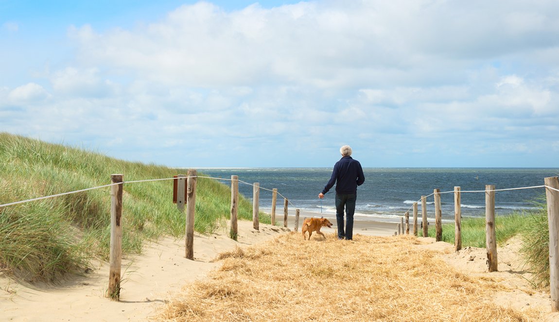 Texel man and dog
