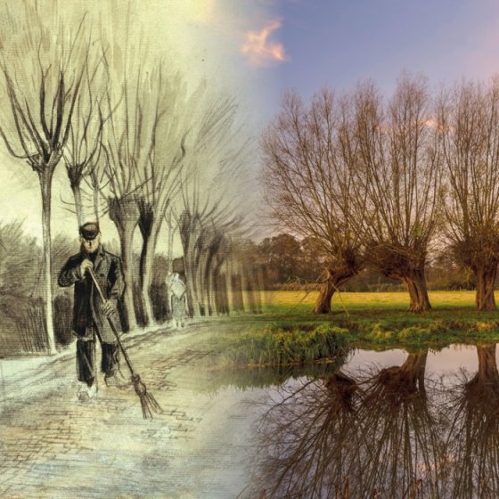 National Parc Van Gogh | Vincent Van Gogh