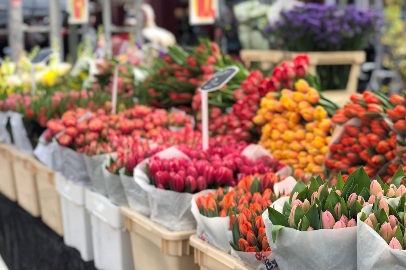 Bloemenmarkt aan de Singel Amsterdam