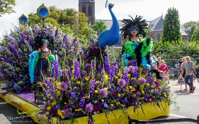 Flower Parade Rijnsburg, l’un des plus anciens corsos fleuris de