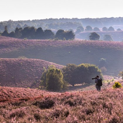 Walking on the heath