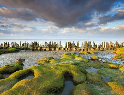 Groningen wadden sea coast at low tide Groningen wadden sea coast at low tide